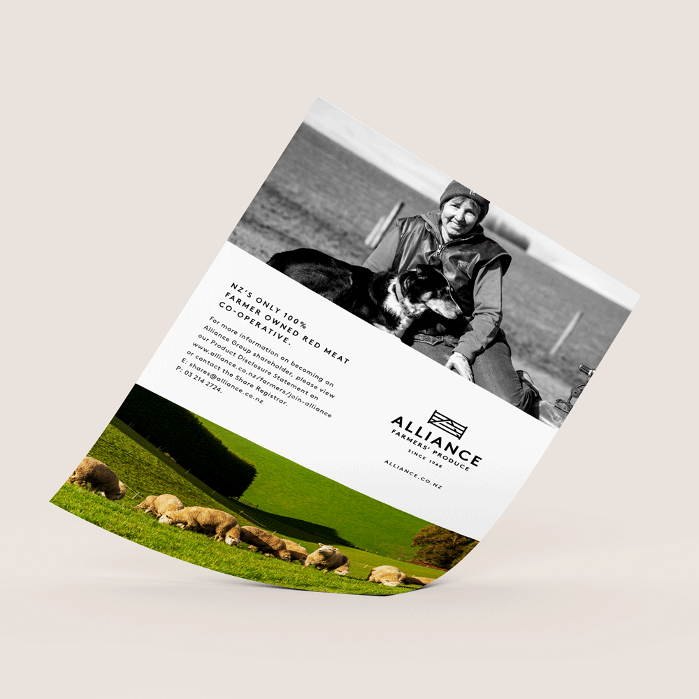 justine-tull-graphic-and-website-design-brochure-design-flyer-design-alliance-1