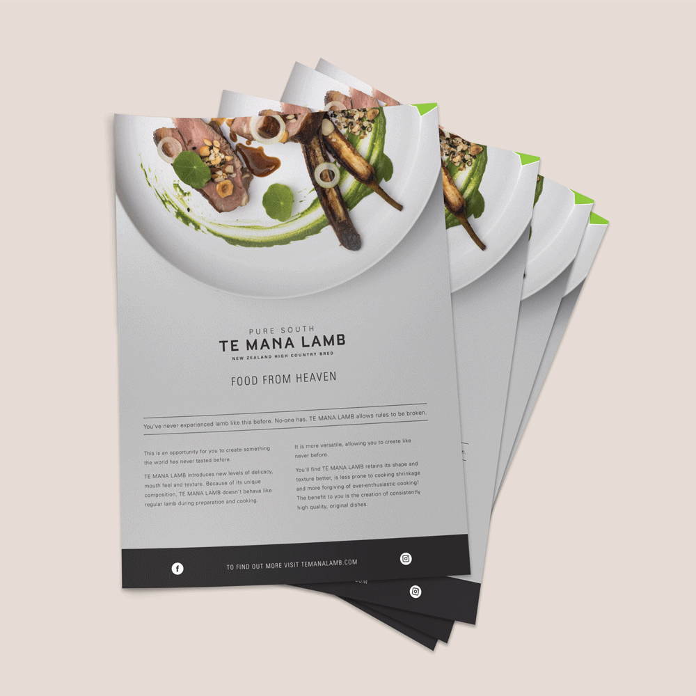 justine-tull-graphic-and-website-design-brochure-design-flyer-design-temana-lamb-1