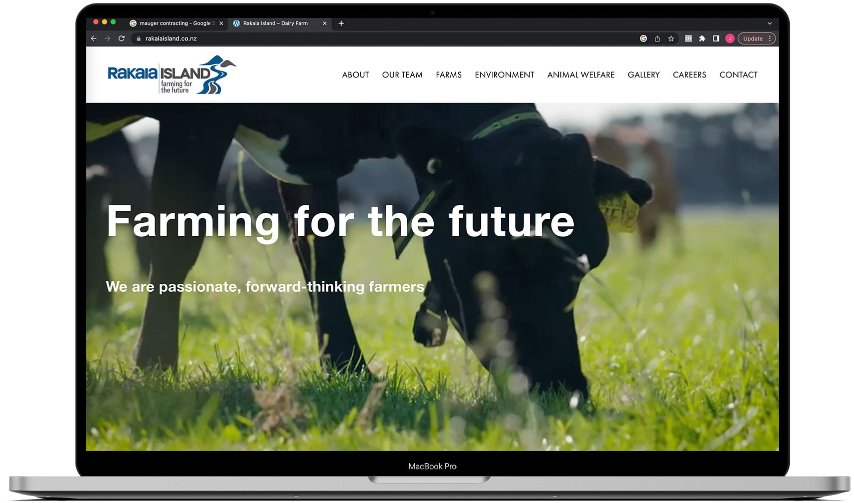 justine-tull-j-and-t-creative-graphic-designer-website-designer-ashburton-canterbury-new-zealand-web-design-rakaia-island