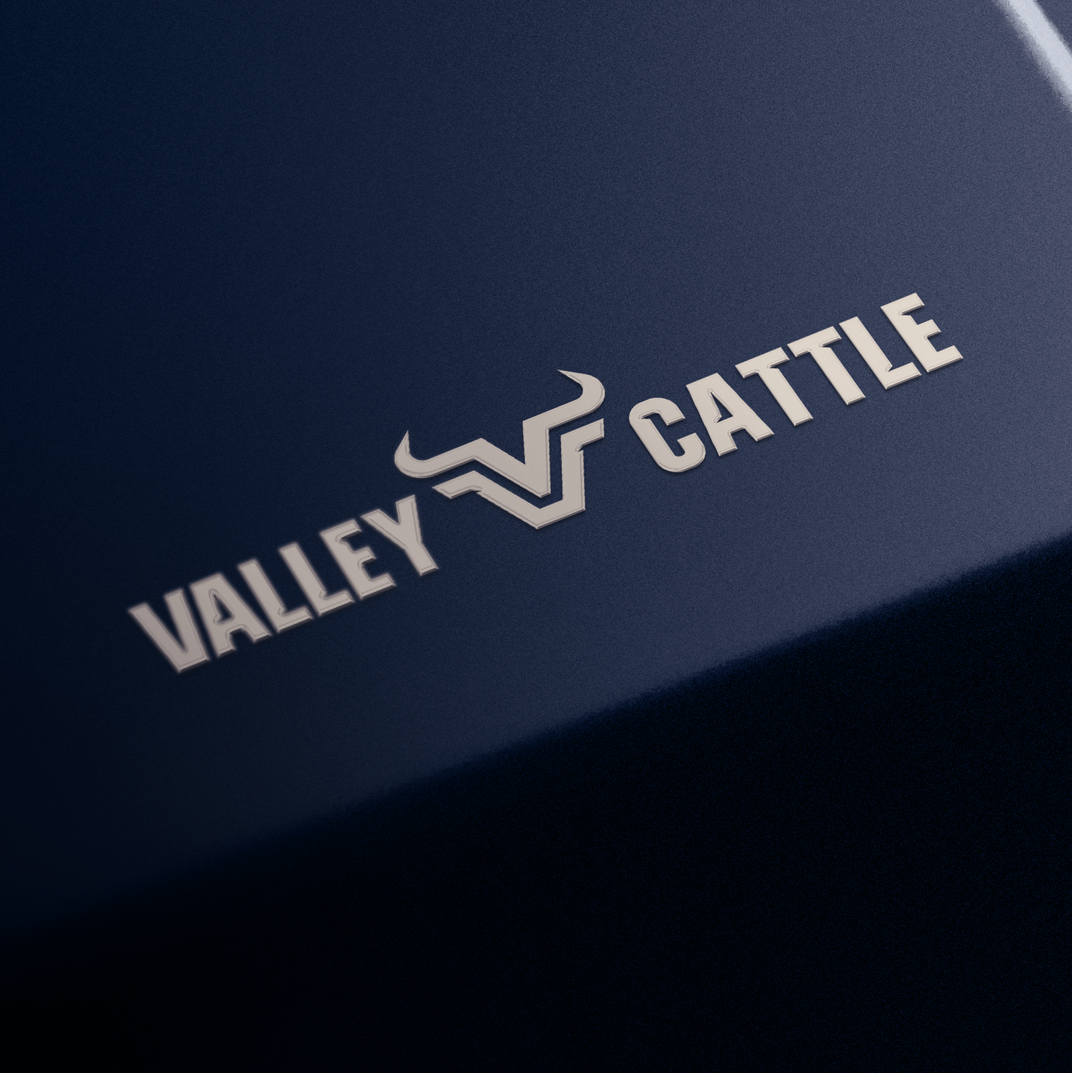 justine-tull-j-and-t-creative-graphic-designer-website-designer-ashburton-canterbury-new-zealand-web-design-brand-identity-valley-cattle-co